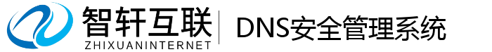 DNS安全管理系统